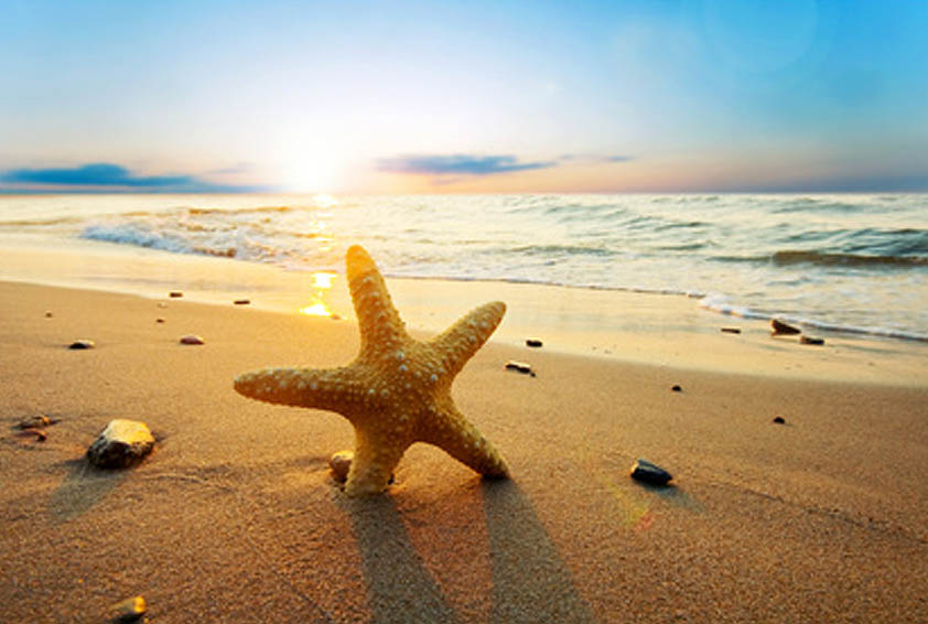 Online Dialysereisen buchen